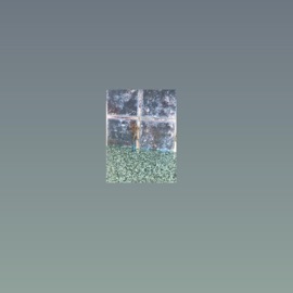 Rock and Roll _Houseplants