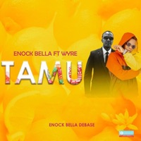Tamu (feat. Wyre) - Single - Enock Bella Debase