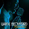Wayne Beckford - Planet Soul