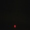 Gestalt - Damons year lyrics