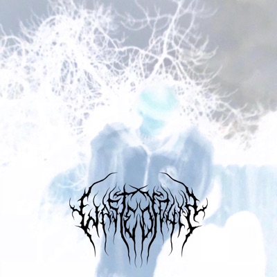 Black Skies - Single
