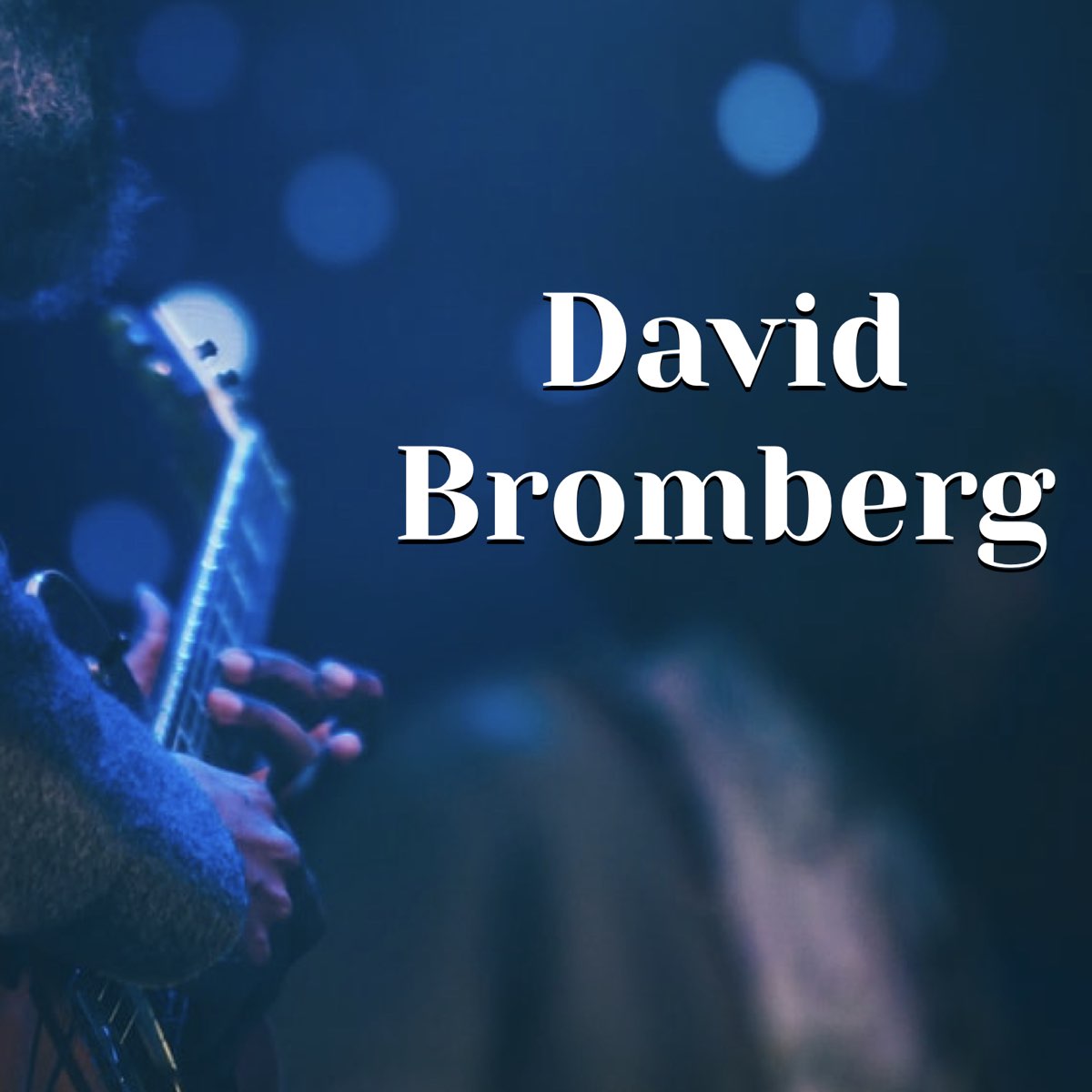 ‎David Bromberg & Friends - Wnew Fm Broadcast the Bottom Line New York ...