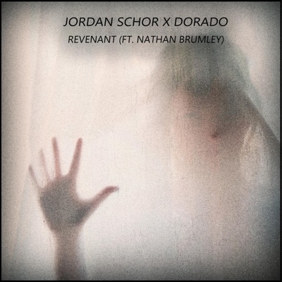 Revenant (feat. Nathan Brumley) - Single