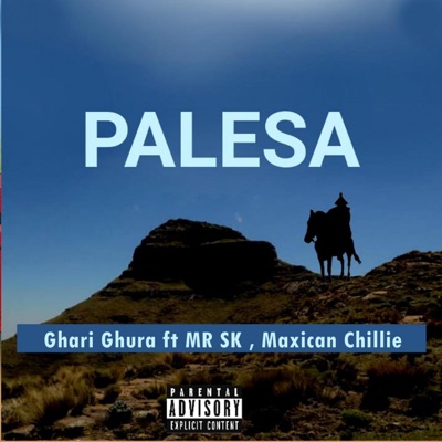 Palesa (feat. MR SK, Maxican Chillie) - Single