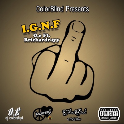 I.G.N.F. (feat. Rrichardrayy) - Single
