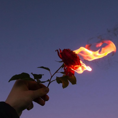 Olvidate - Single