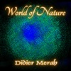 Didier Forest Virgin Forest World of Nature