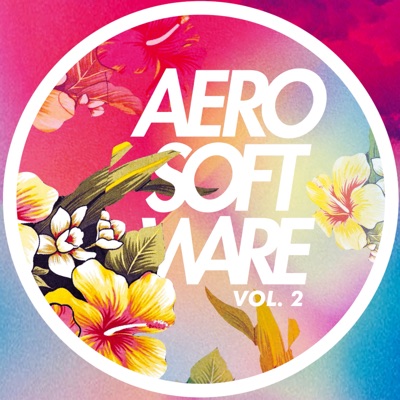 Aerosoftware, Vol. 2