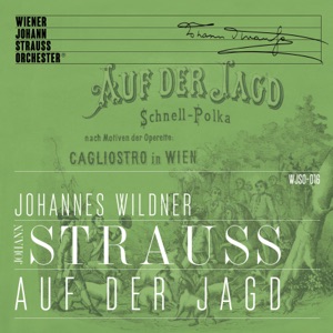 Wein, Weib und Gesang, Op. 333