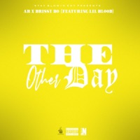 Other Day (feat. Lil Blood) - Single - AR aka YP & Drissy Bo