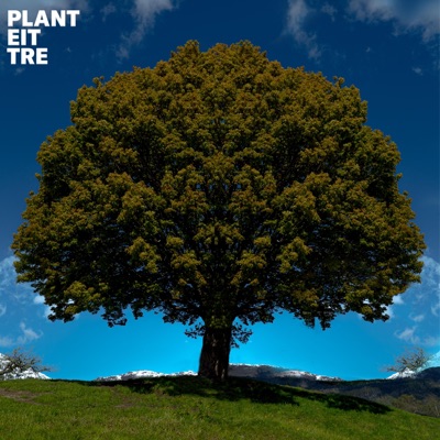 Plant Eit Tre - Single