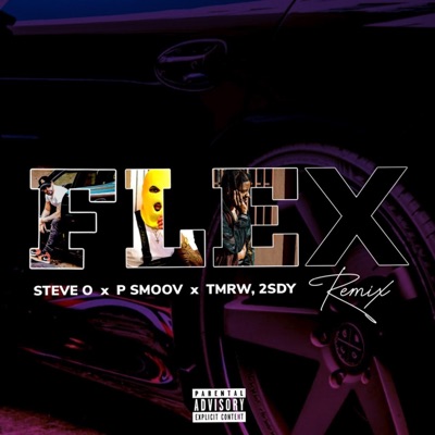 Flex (feat. P Smoov & Tmrw, 2sdy) [Remix] [Remix] - Single