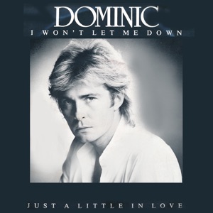 I Won't Let Me Down - Single