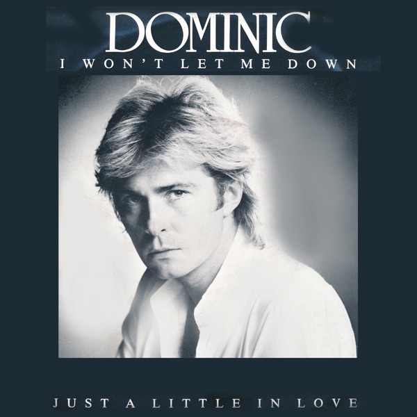 I Won't Let Me Down - Single