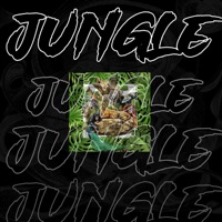Jungle - Single - Kayk Marques