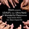 A Wonderful Place (feat. Ultra Naté) - Blaze & UDAUFL lyrics