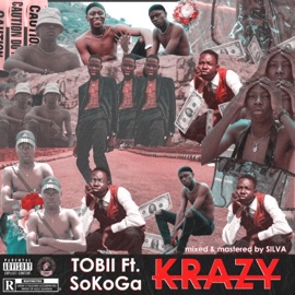 Krazy (feat. SoKoGa) Tobii WTW
