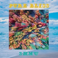 Pure Bliss (Remastered) - Shmu
