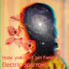 Electric Sparrow