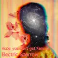 Electric Sparrow