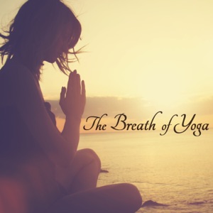 Amazing Song - Yoga