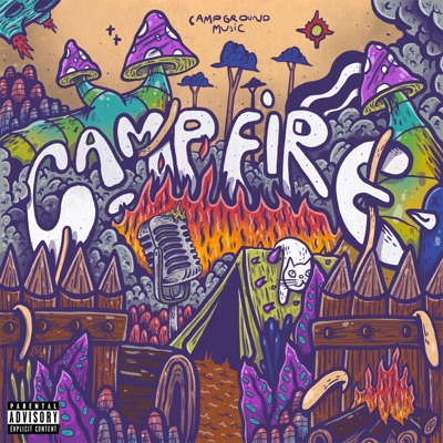 CampFire