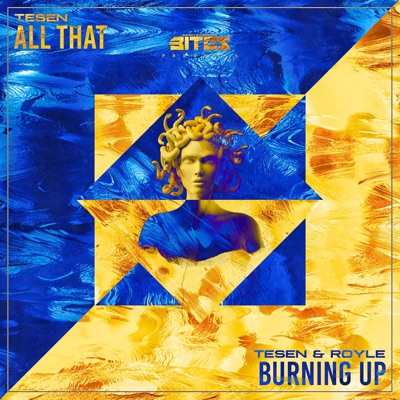 All That / Burning Up - Single