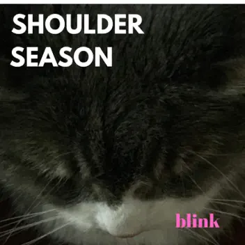 Blink album cover