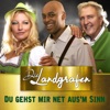 Du gehst mir net ausm Sinn - Single