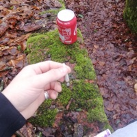 Voices - Single - mitchkmn