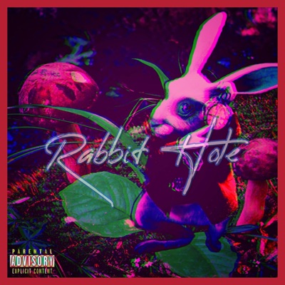 Rabbit Hole (feat. Curly Chuck) - Single