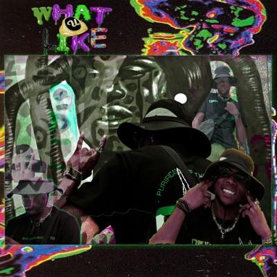 What U Like (feat. Siki & KVC) - Single