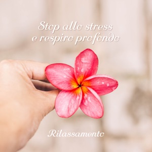 Stop allo stress e respiro profondo: Rilassamento - Audio terapia per yoga, Pace & Equilibrio, Buona dormita