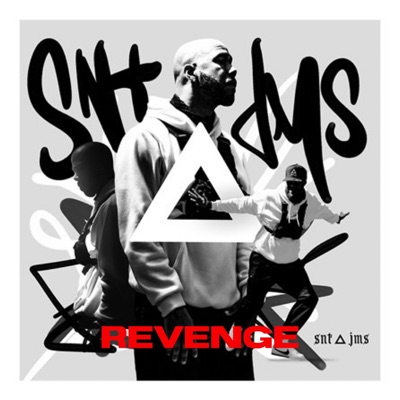 Revenge - Single