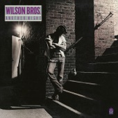 Wilson Brothers - Take Me to Your Heaven