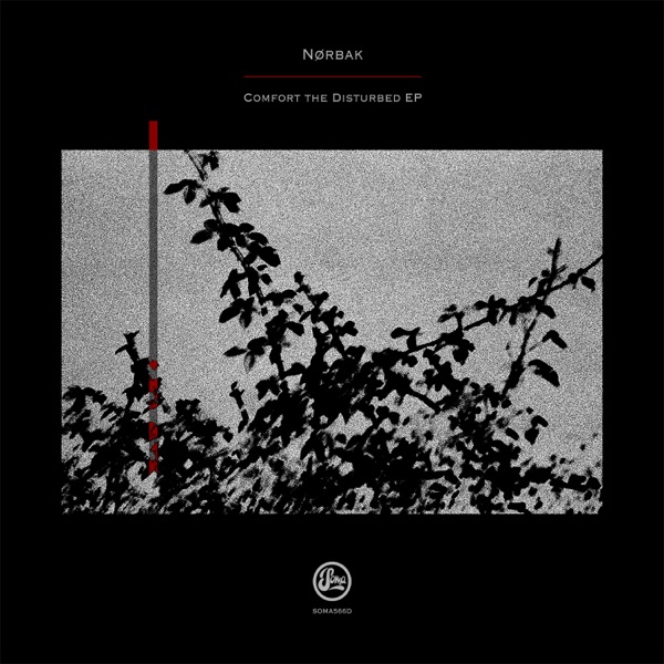 Comfort the Disturbed EP
