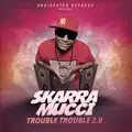 Trouble Trouble 2.0