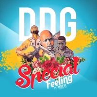 Special Feeling (feat. Mic Li) - Single - DDG