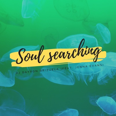 Soul Searching (feat. Jenna Evans) - Single