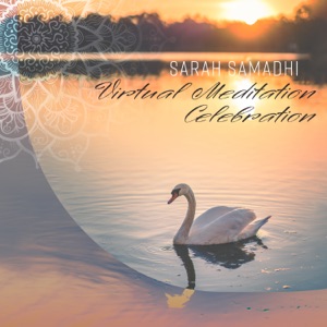 Virtual Meditation Celebration