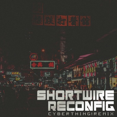 Reconfig (Cyberthing! Remix) - Single
