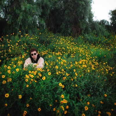 Lose You Too - Single