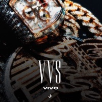 VVS - Single - VIVO
