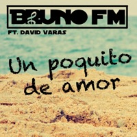 Un Poquito de Amor (feat. David Varas) - Single - Bruno FM