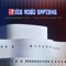 FanFanFanatisch (808 Dot Pop Mix) - Die Robo Sapiens lyrics