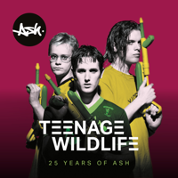 Ash - Teenage Wildlife: 25 Years of Ash artwork
