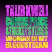Woman In My Bloodstream (feat. Talib Kweli & Nini Monroe) artwork
