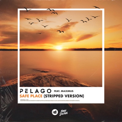 Safe Place (Stripped Version) [feat. Maximus] - Single