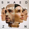 Trampoline (with ZAYN) by SHAED iTunes Track 7