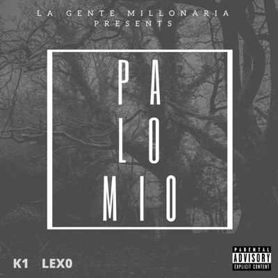 Pa Lo Mio - Single